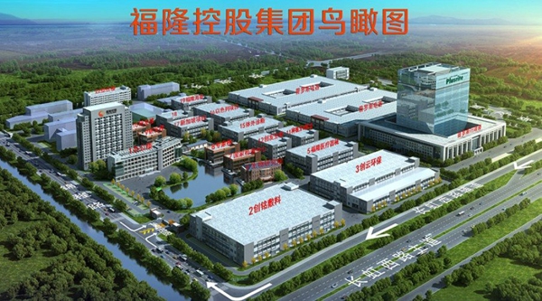 福隆醫(yī)用材料（中國）有限公司.jpg